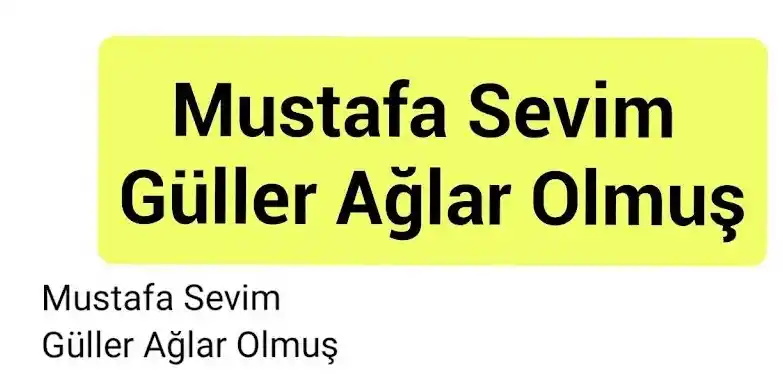 Mustafa Sevim - Güller Ağlar Olmuş