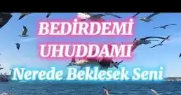 bedirdemi uhuddamı ilahi sözleri